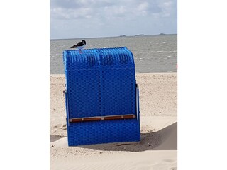 Eine Strandkorbvermietung befindet sich in der Nähe.