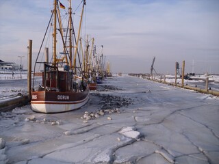 Dorum im Winter