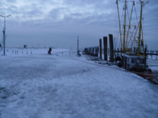 Winter im Hafen
