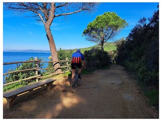 Fahrradverleih und Routenkarte