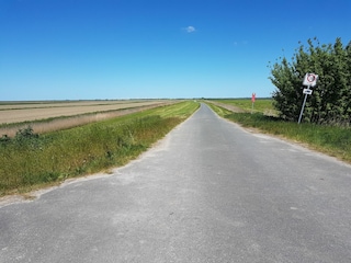 Kilometerlange Wege hinter dem Deich bis zur Elbe