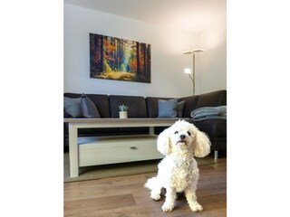 Appartement de vacances Bad Sachsa Équipement 1