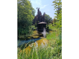 Teich Park Gut Heidefeld