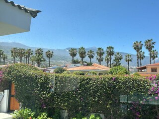View from dining room