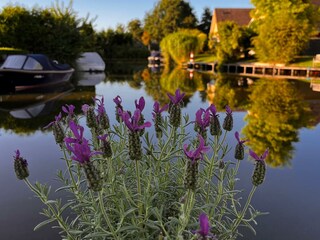 Holiday house Medemblik Outdoor Recording 7