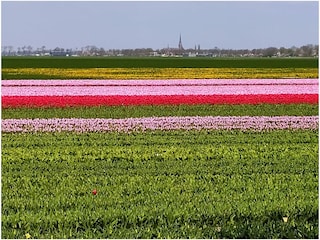 Holiday house Medemblik Environment 24