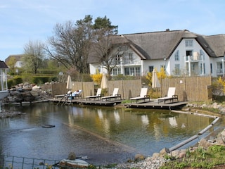 Außenschwimmteich für unsere Gäste