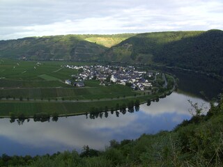 Blick auf Minheim