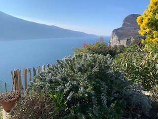 Fruehling am Gardasee