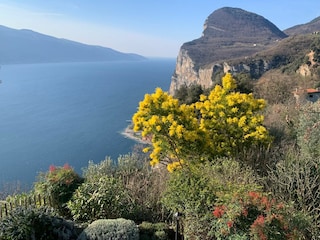 Frühling am Gardasee