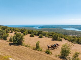 Meadows on the ranch