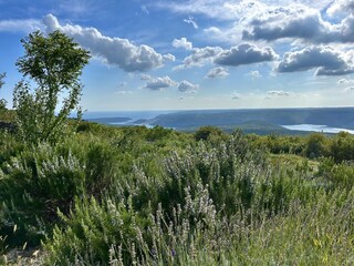 Ferienhaus Labin Außenaufnahme 6
