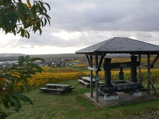 Ausflugsziel Alte Kelter in Langenlonsheim