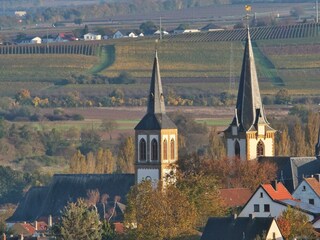 Blick auf die beiden Langenlonsheimer Kirchen