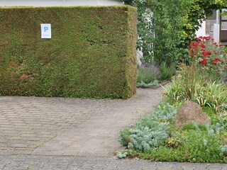 Gästeparkplatz rechts unten der Eingang