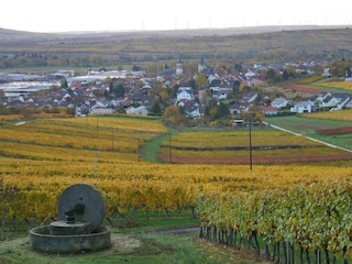 Blick vom Kelterplatz auf Lalo und Rheinhessen