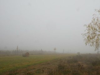 herbstlicher Nebel am Naheradweg