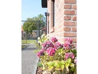 Deichdeck3 OR