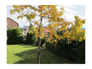 Garten Herbst
