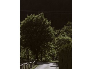 Landschaft Sommer