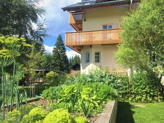 Gemüse und Kräuterbeet unser Garten