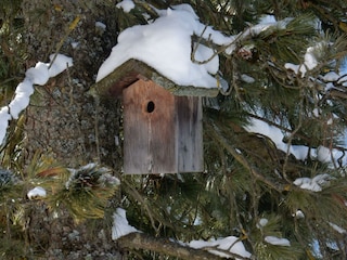 unser Garten im Winter