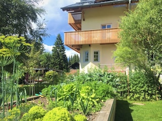 Gemüse und Kräuterbeet unser Garten