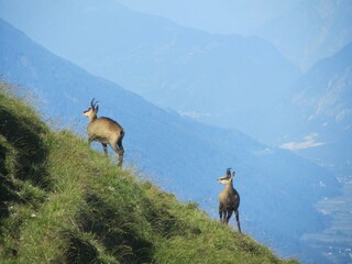 früh am Morgen auf die Seefeld Spitze
