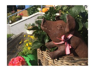 Sommer, Sonne - Dekor im Garten