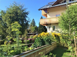 unser Gemüse und Kräutergarten