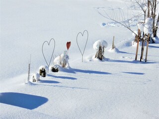 unsere 3 Herzen  im Winter