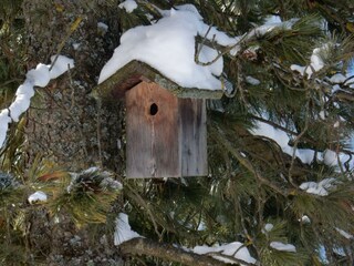 unser Garten im Winter