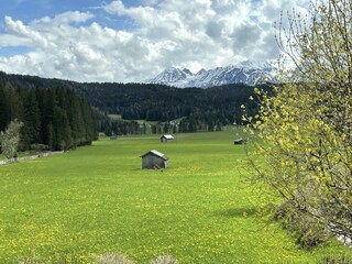 img_6357.2000x0