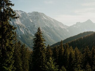 Natur im Gaistal - Leutasch