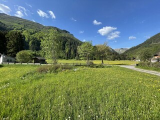 IMG_2321