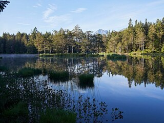 Moeserer See und Insel am fruehen Morgen