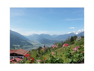 Habhof Mösern - Balkon mit Blumen