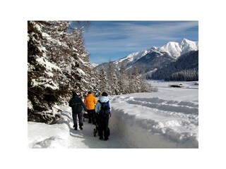 Winterwandern im Moeserertal