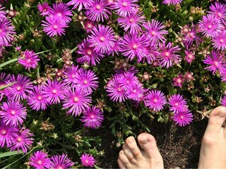 Barfuss im Garten im Hotel Lärchenhof Natur in M.
