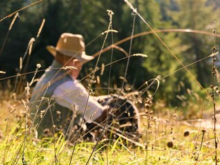 Wildgraswiese im Herbst mit Papa