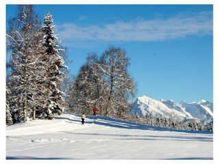 Langlaufen in WildmoosLottensee mit Karwendelblick