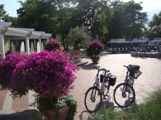 farbenfrohe Blumen vor Grande Beach