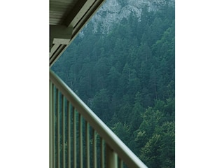 Wald