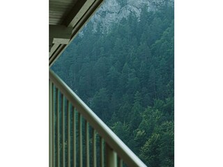 Wald