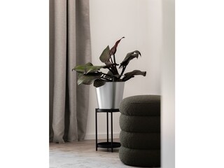 202406-SNOW-Tirol-Scharnitz-Top5-18