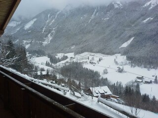 Alpenvilla-Janerweg-myNests-Winter-Schladming-Dach