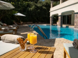 Villa Mandelieu-la-Napoule  12