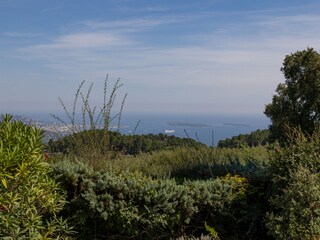 Villa Mandelieu-la-Napoule  38