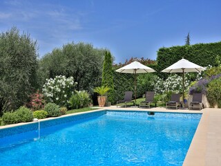 Villa Mougins Environment 19