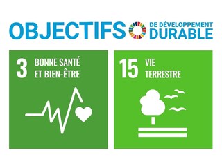 Casale Luberon Documento 43